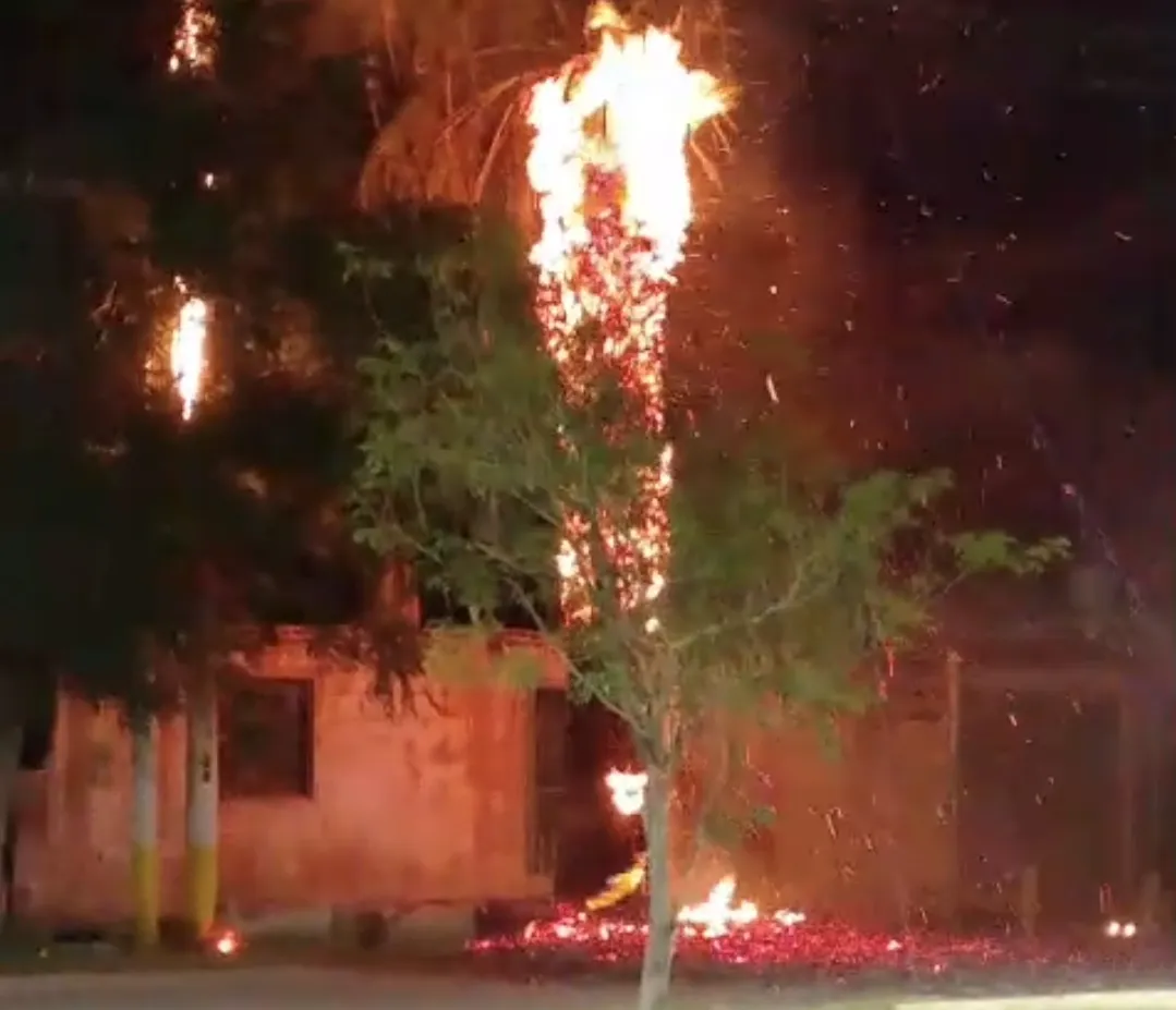 Screenshot_20251225_094121_WhatsApp