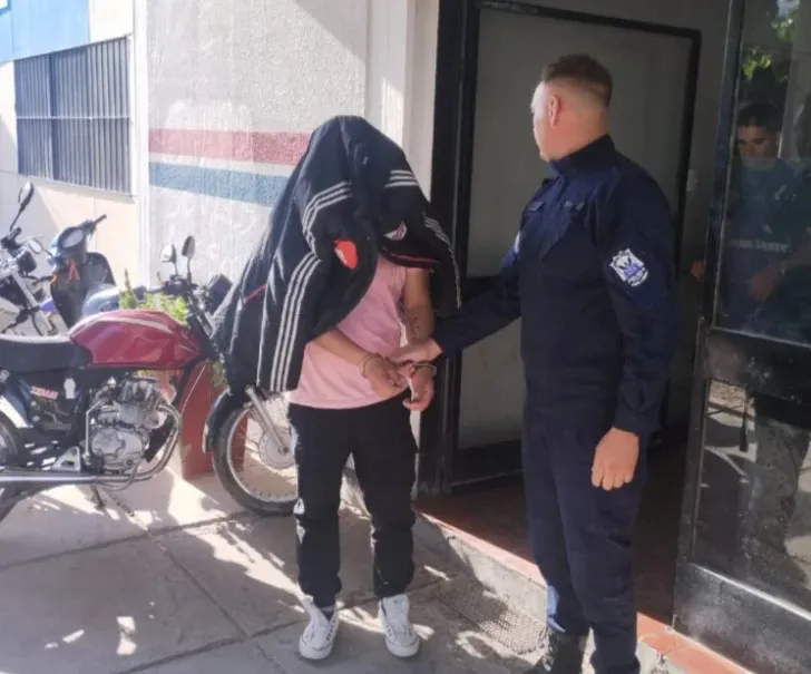 Delincuente detenido