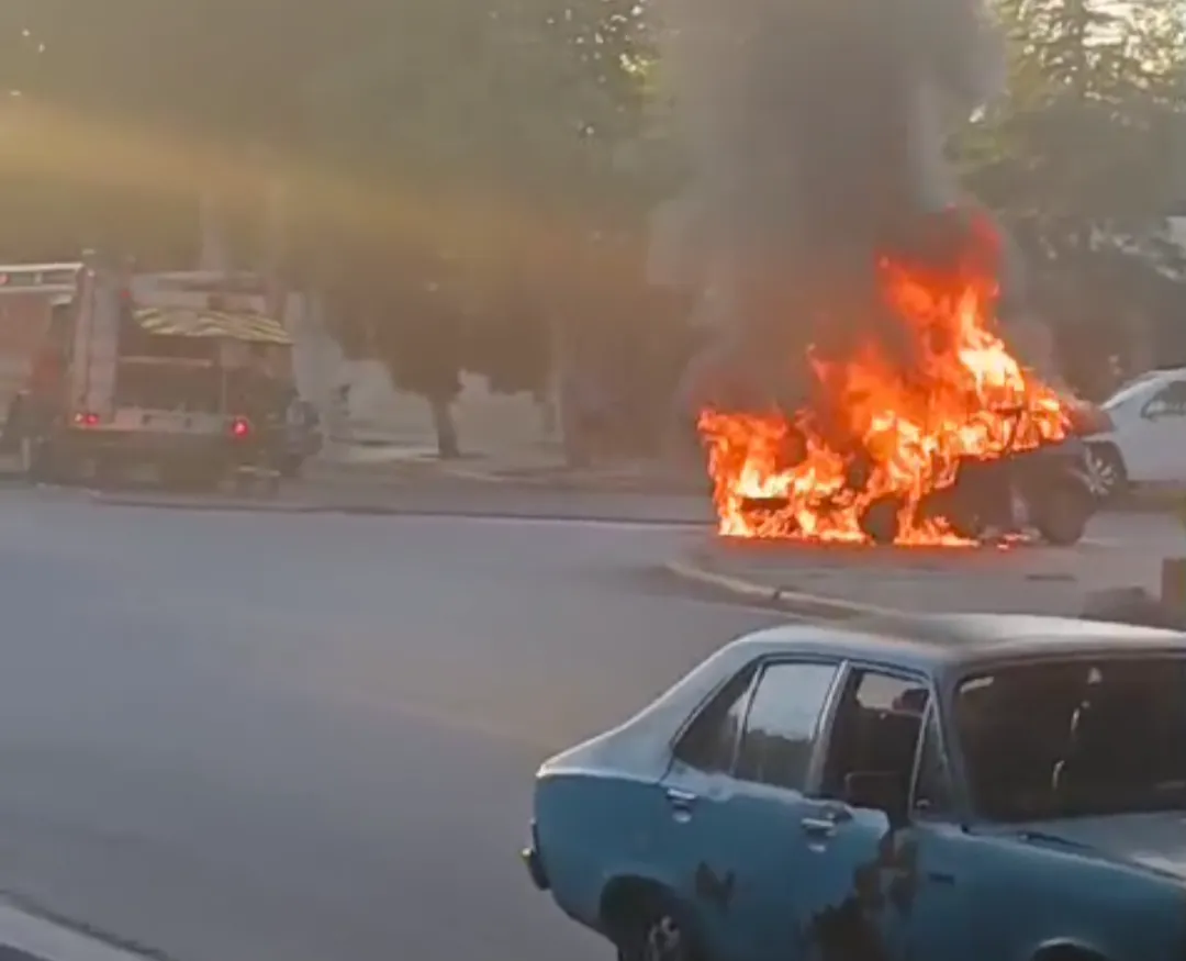 Screenshot_20250310-080344