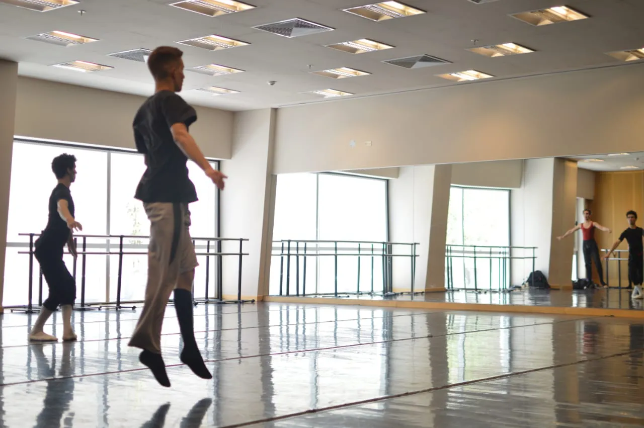 ballet danza por la paz (3)