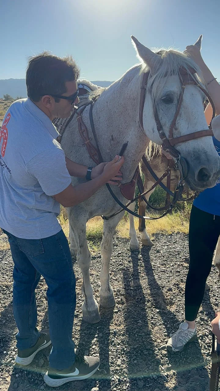 WhatsApp Image 2026-03-31 at 23.17.55 (1)