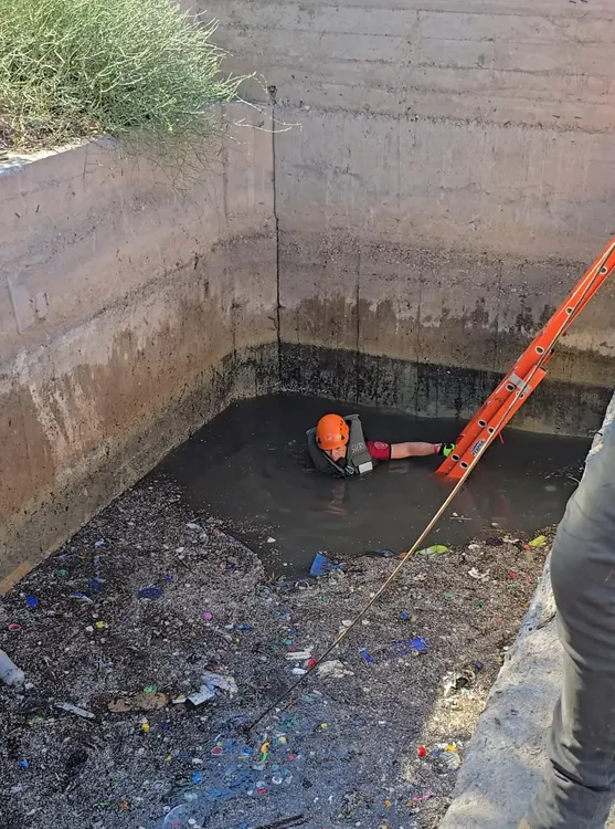 WhatsApp Image 2025-02-03 at 09.19.32