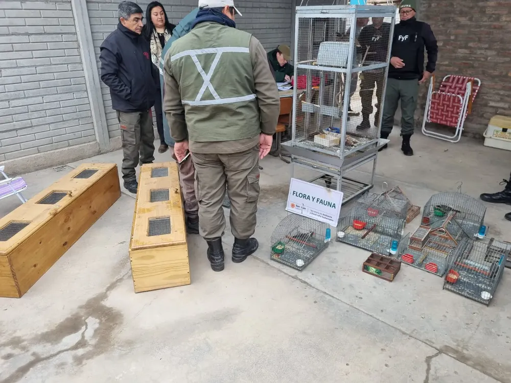 WhatsApp Image 2024-08-19 at 9.59.13 AM