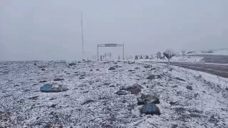 f800x450-398447_449893_5050