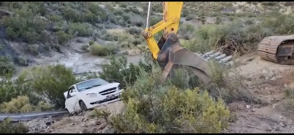 Screenshot_20260317_120951_WhatsApp