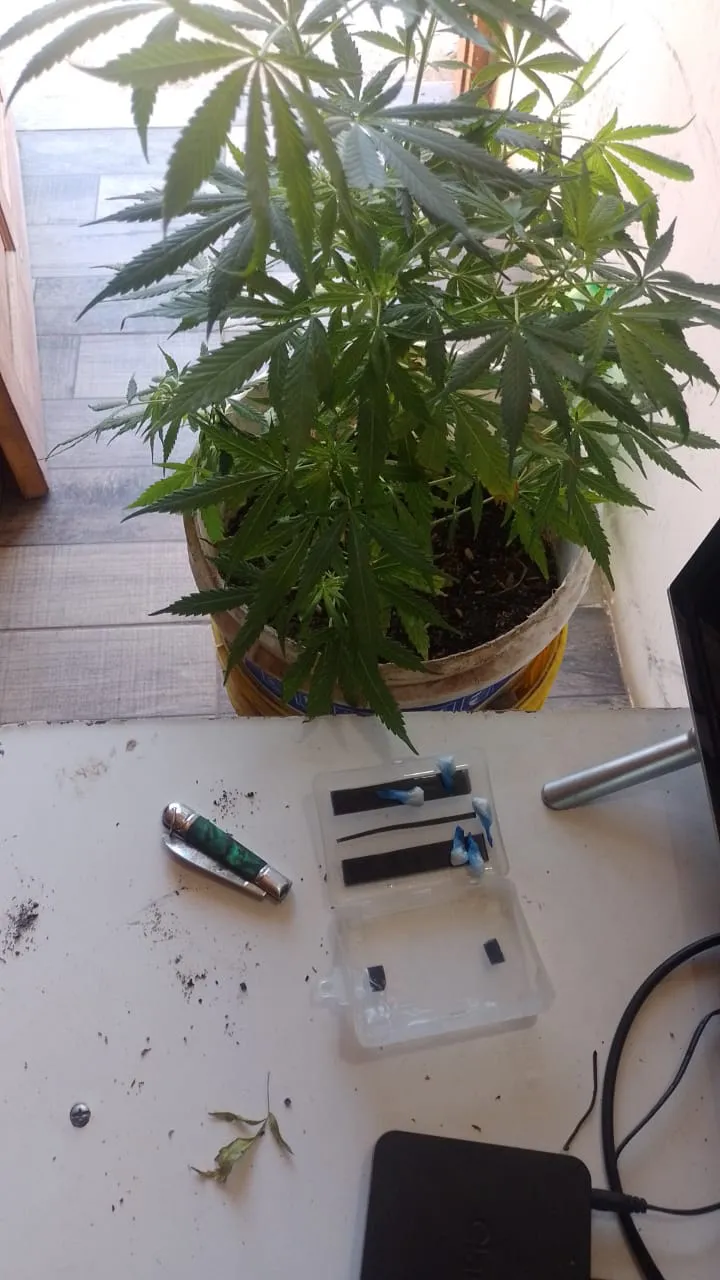 WhatsApp Image 2024-10-14 at 12.45.00