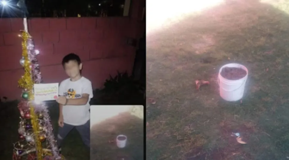 Arbolito de Navidad robado