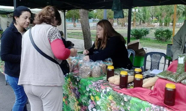 feria navideña