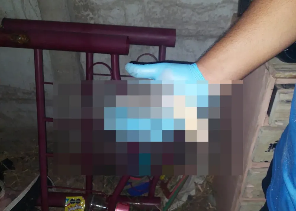 WhatsApp Image 2025-12-11 at 11.02.24