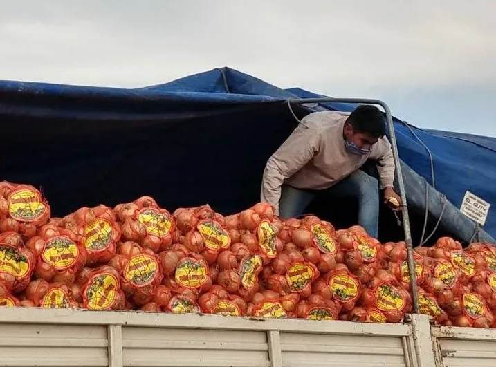 Cebolla