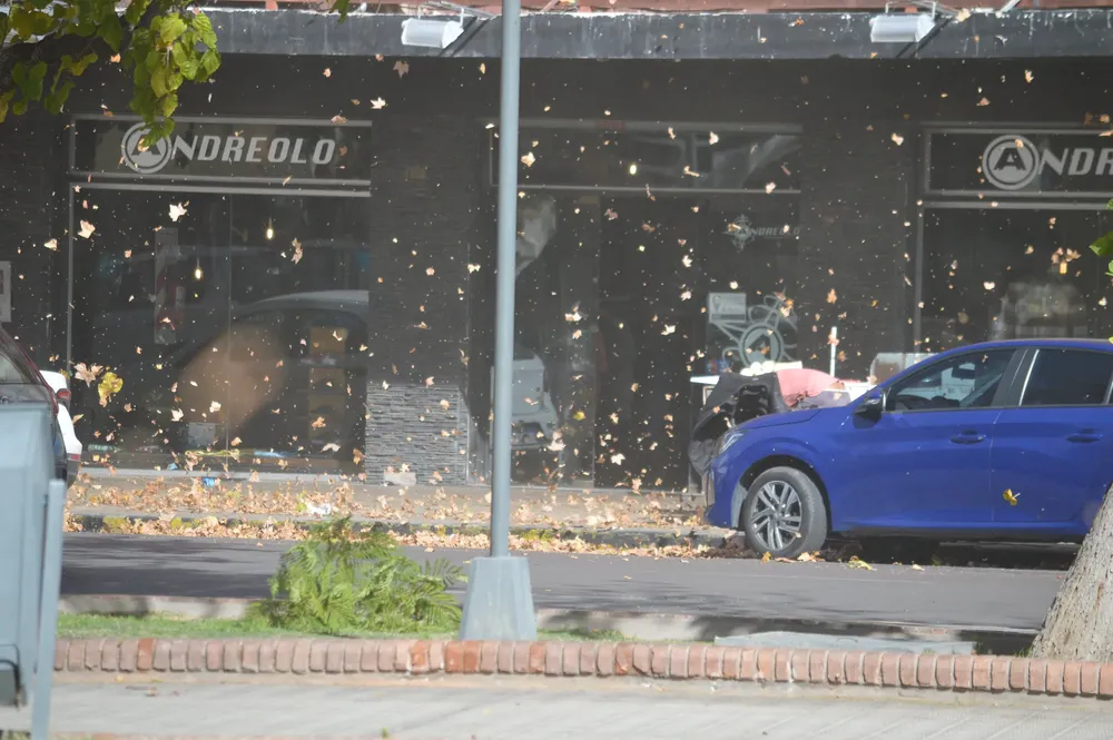 53693814608_ede1554bd9_k