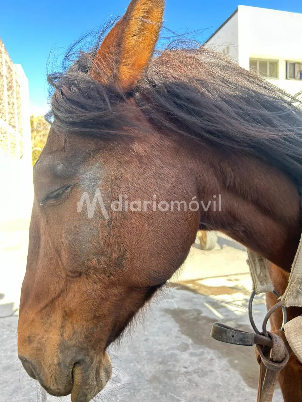 WhatsApp Image 2024-06-21 at 11.03.15 PM (3)