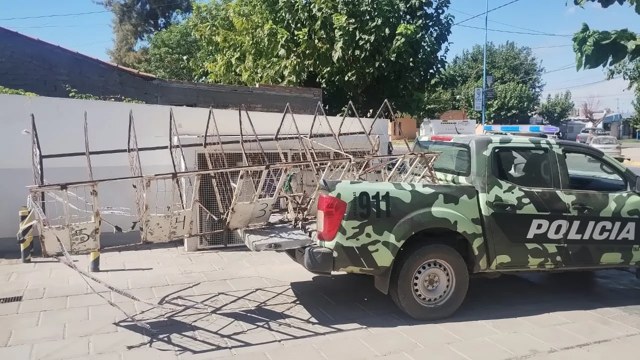 galgos policía carrera animales
