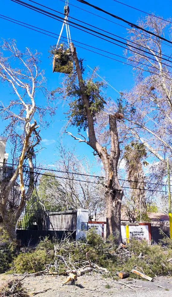 Whats_App_Image_2024_09_12_at_12_11_21_c93e1d25bc