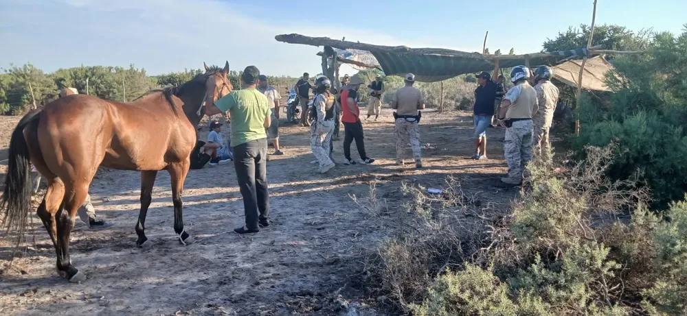 2de604c2-1e5b-4798-b26d-41aece68fb59