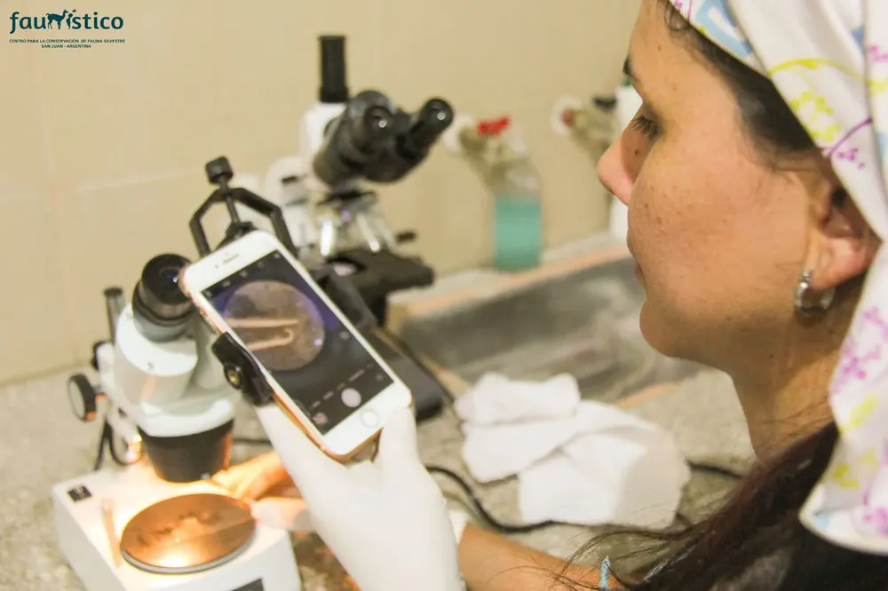 7f2628ab-5f7a-4f30-9d07-196402ca0a93