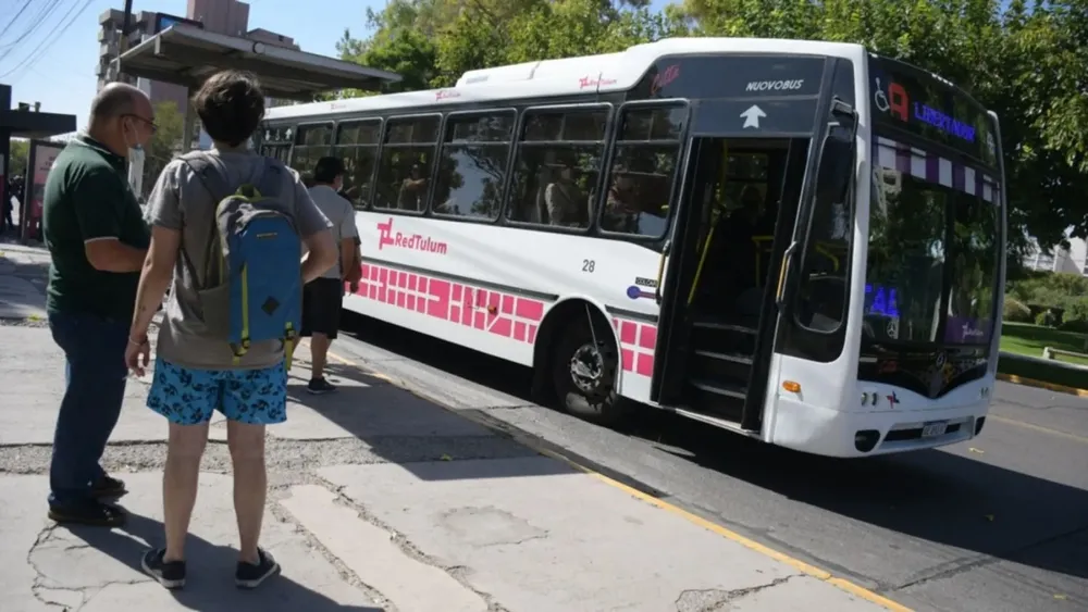 red tulum colectivos verano
