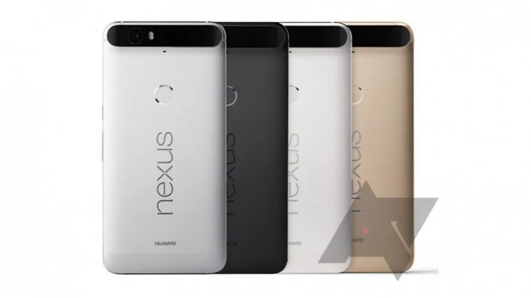 nexus