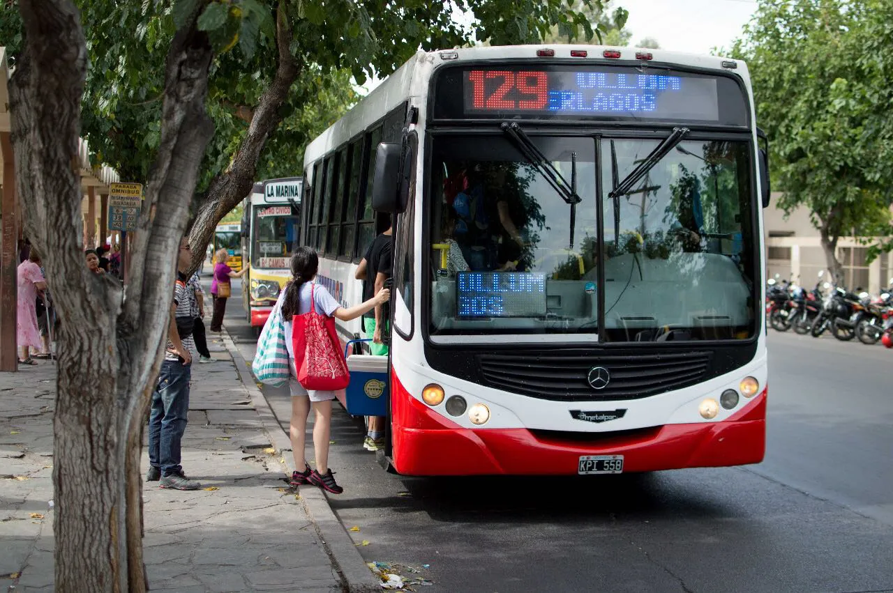 colectivo