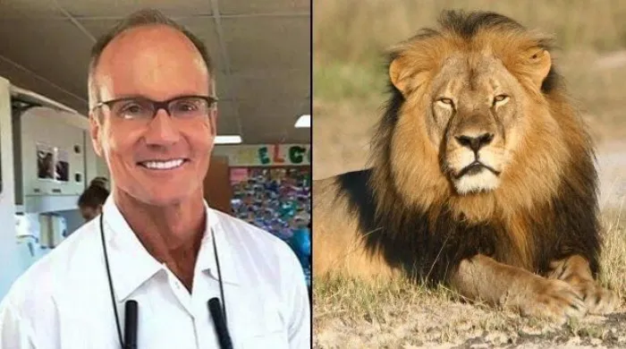 Cecil
