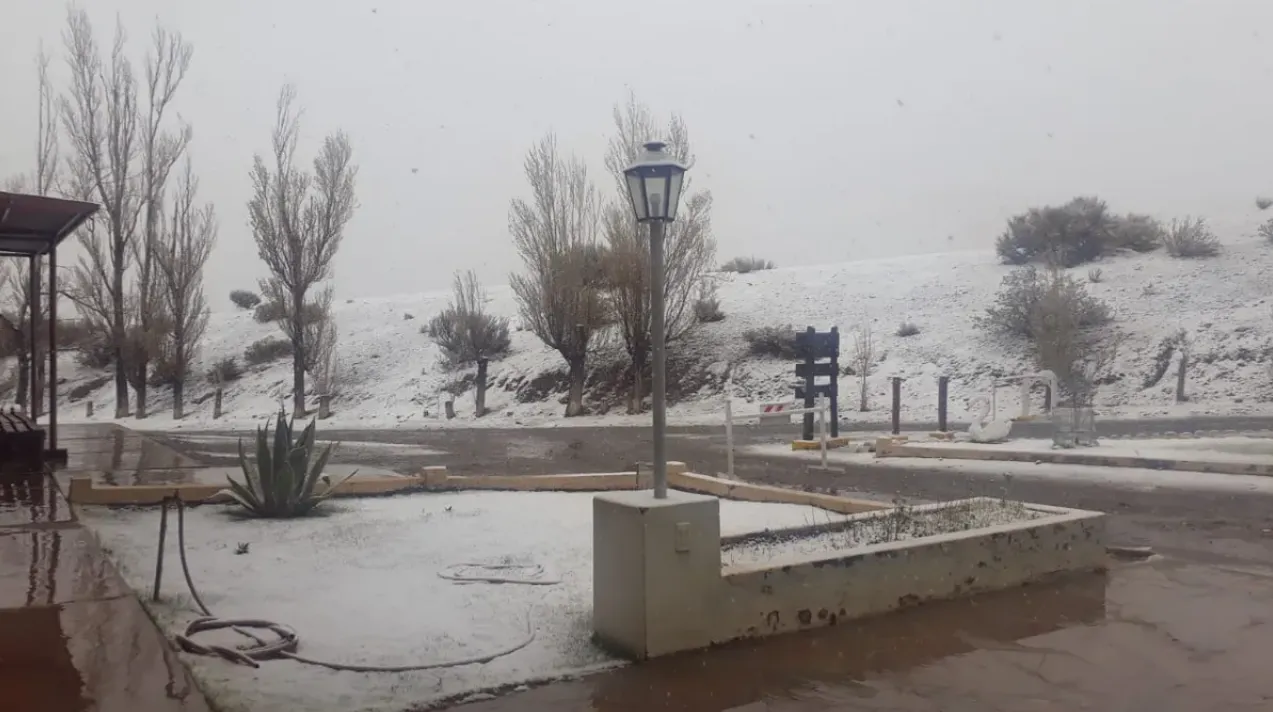 calingasta nevada