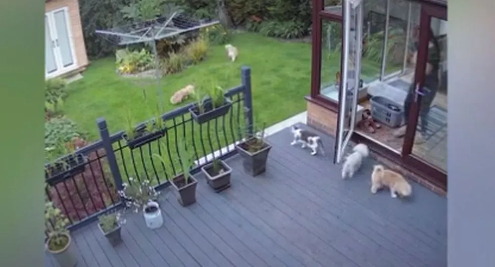 E7R6BCSJSNCH7J7QSN7PVPVWWQ