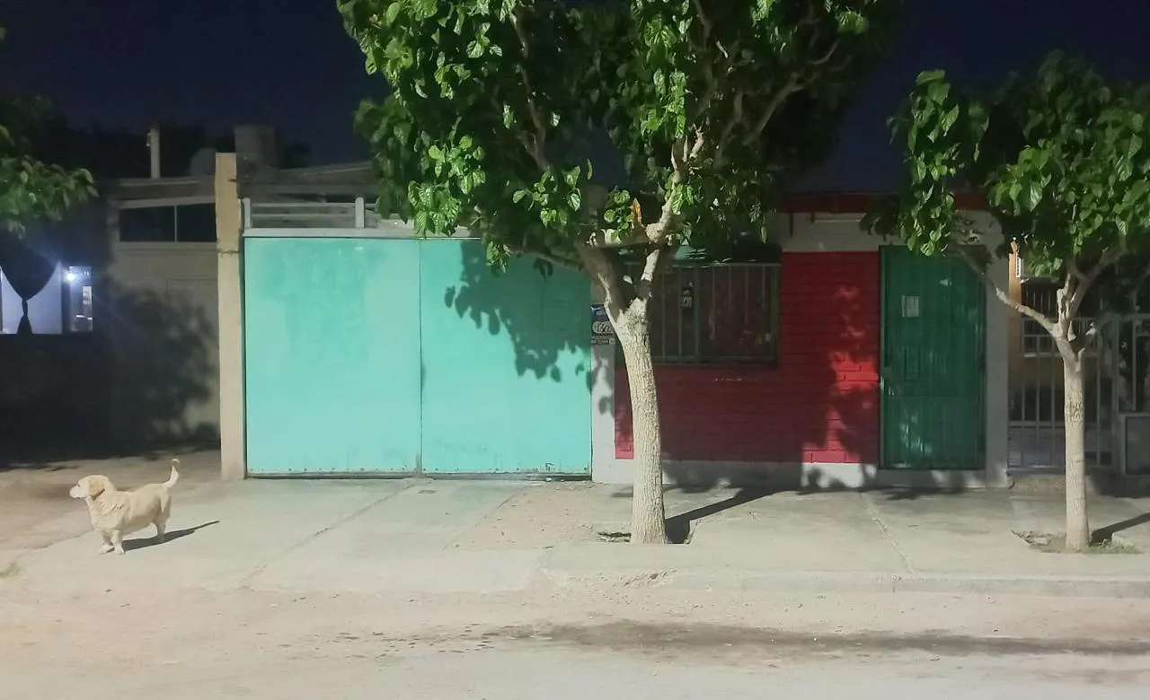 WhatsApp Image 2024-09-29 at 09.05.15