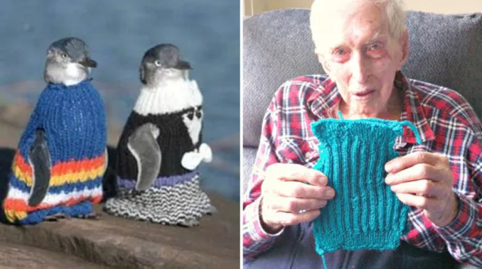 pinguinos