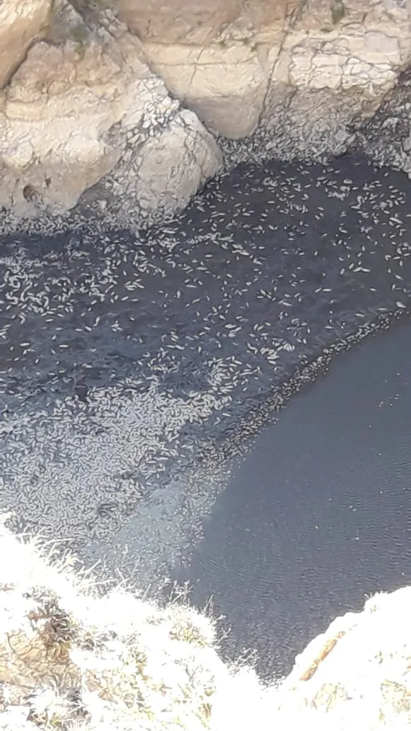 e418eac7-d0b5-47c2-9ffb-681a3e145869