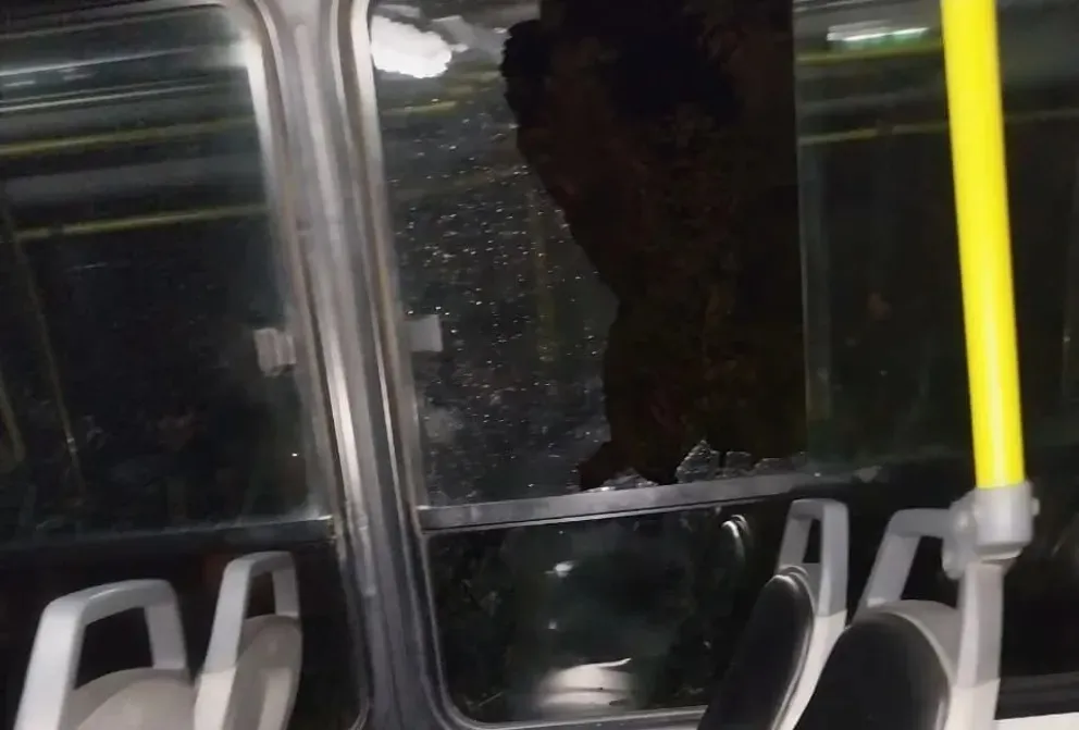 Colectivo- Red Tulum