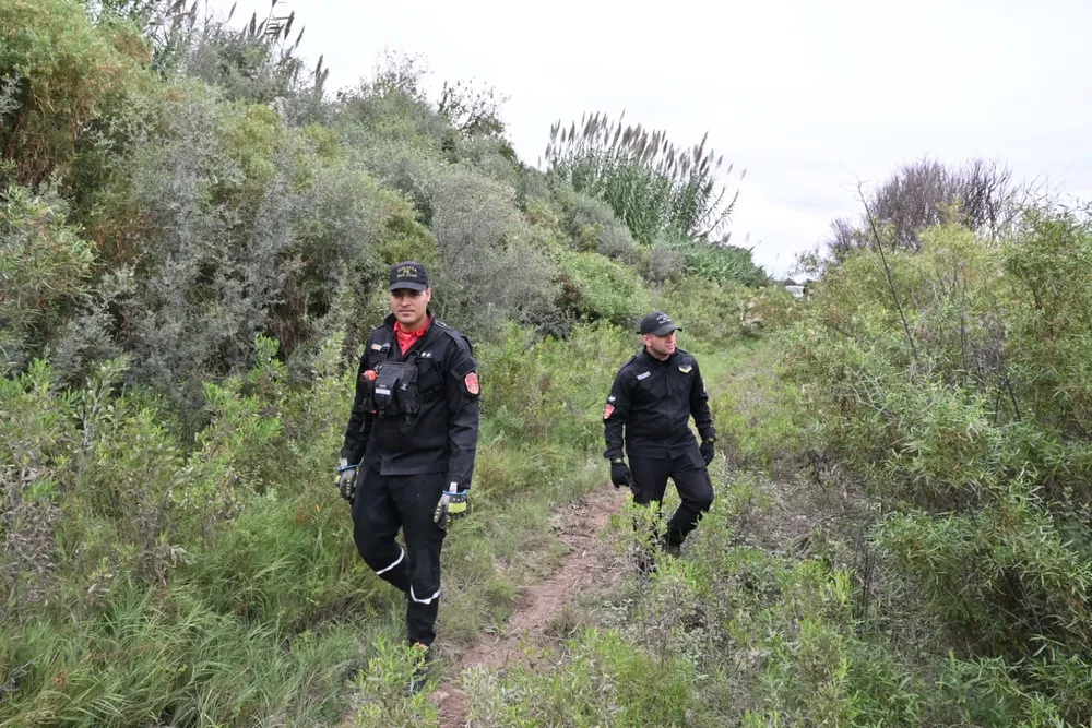 02c104a9-f093-46aa-a58b-36f12df51a3b