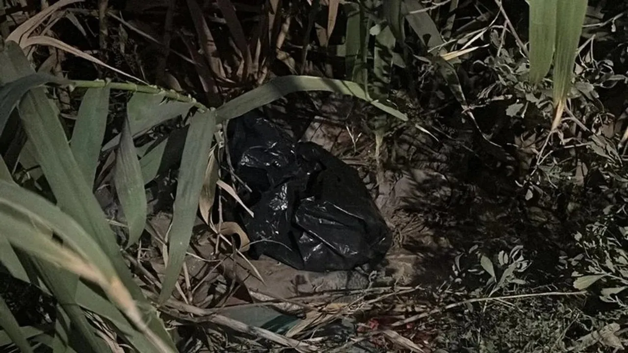 Bolsas