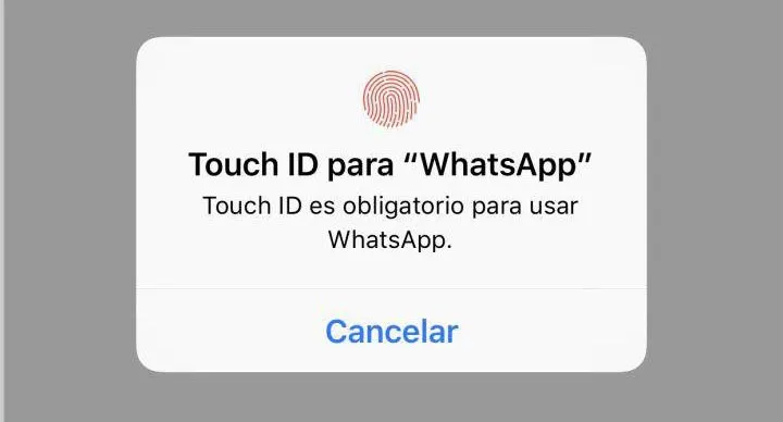 touch-id-whats