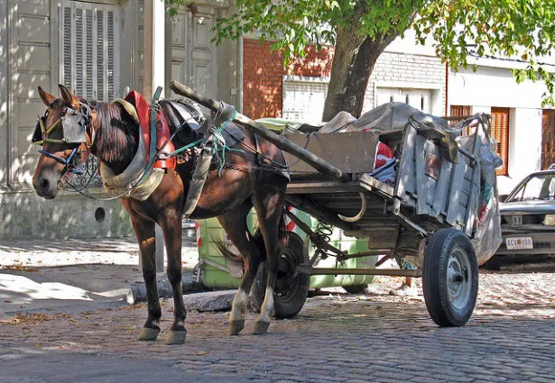 caballo