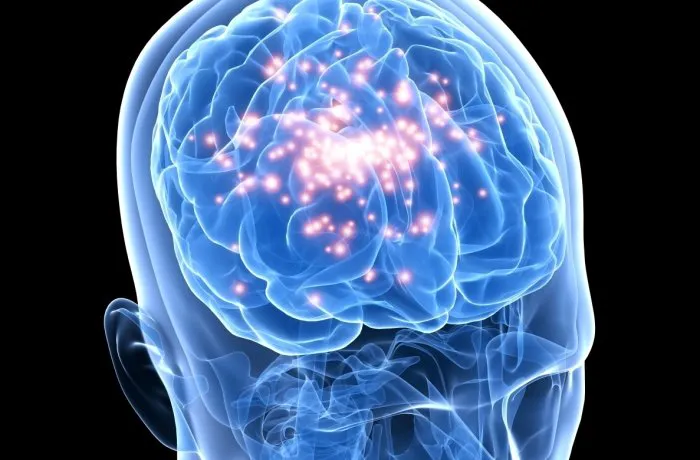 CEREBRO