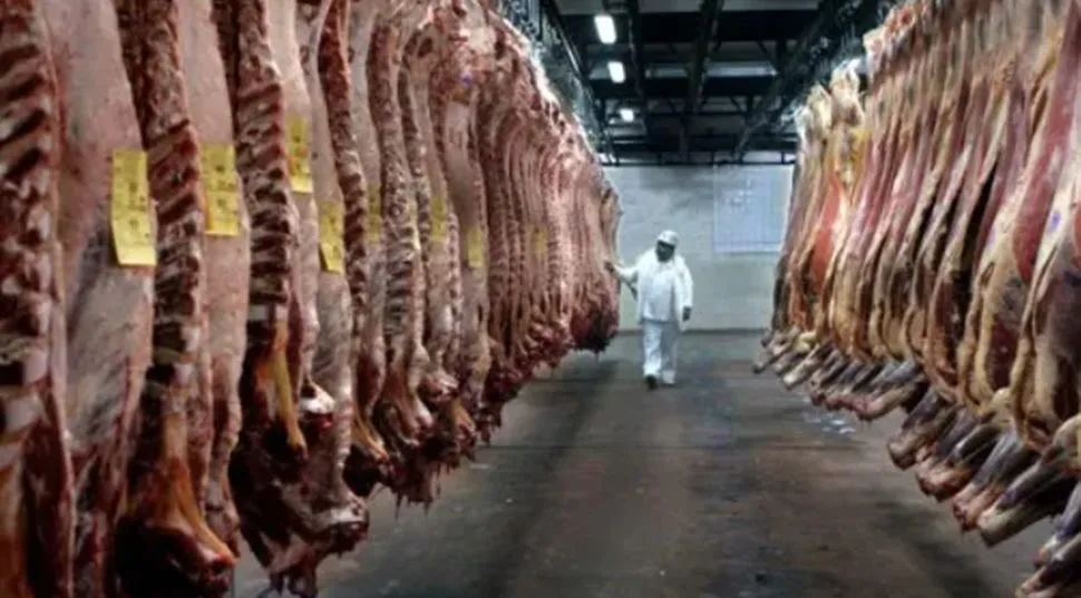Asado carnicería