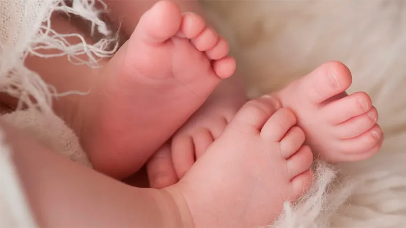 Bebes mellizos gemelos