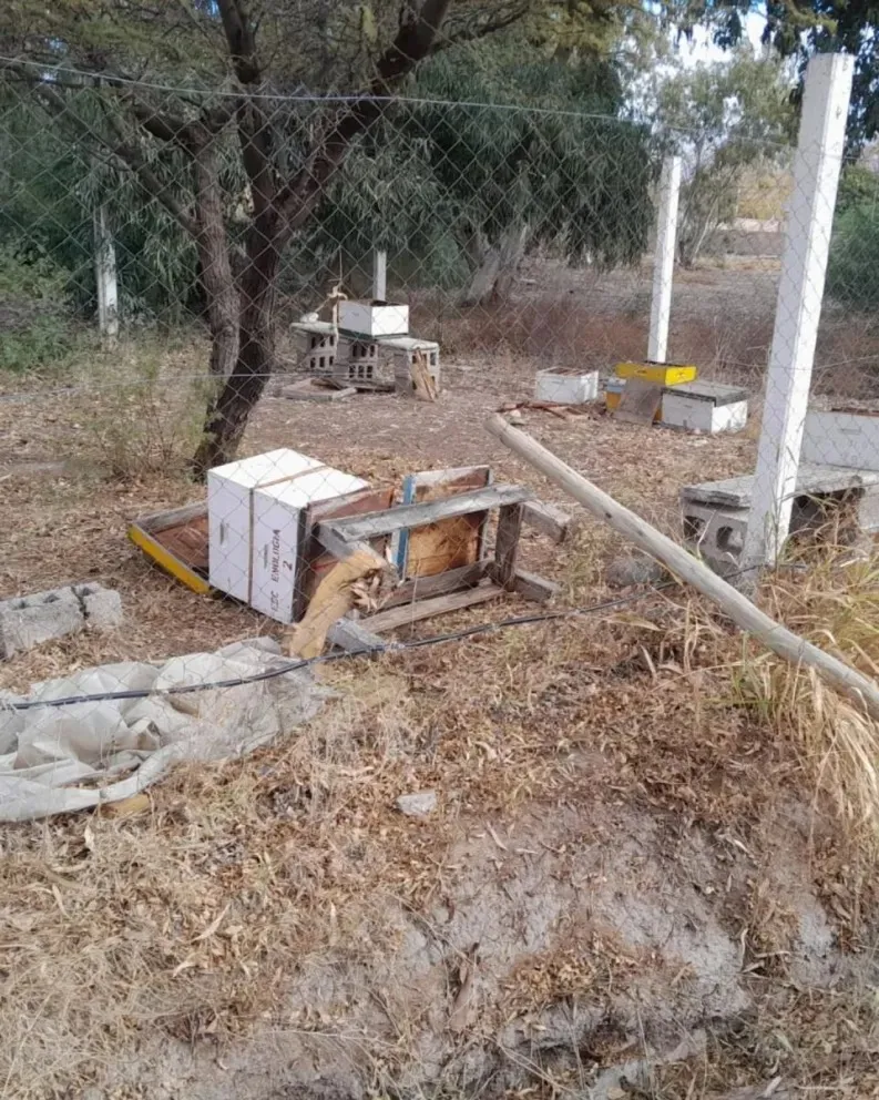 WhatsApp Image 2025-06-18 at 8.42.25 AM