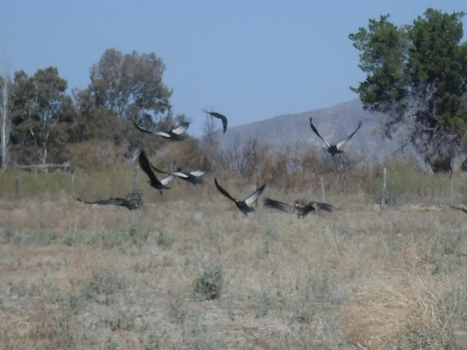 AujmwGw_ysPAQ_4o8PeME6QOLqlXSH2QPxajUAWd5lCM