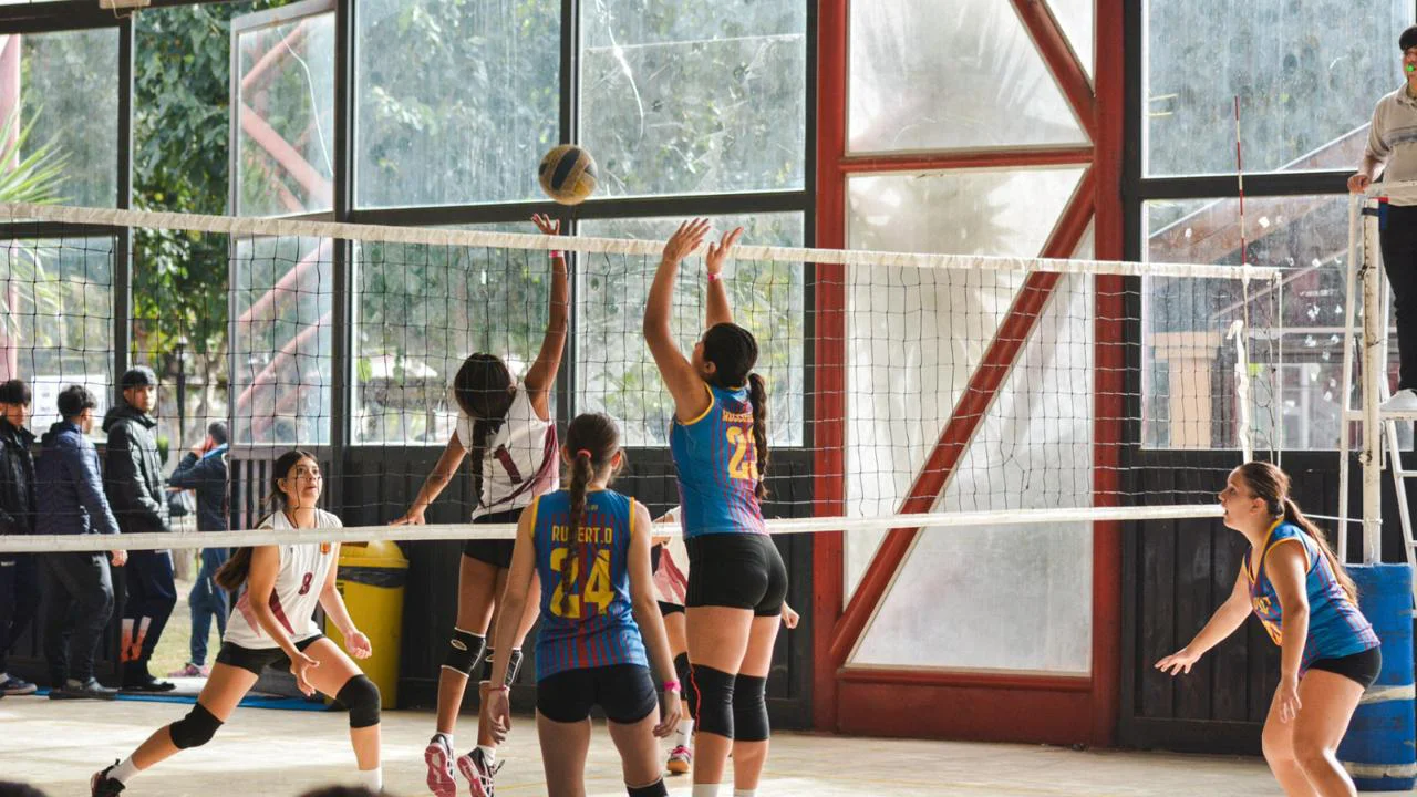 Vóley femenino