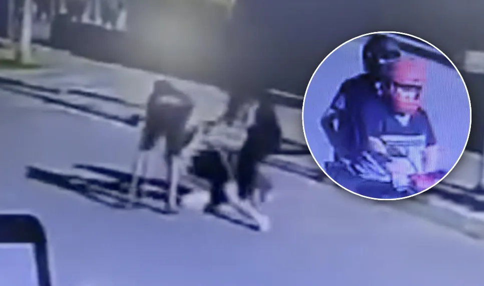 Captura de pantalla 2024-12-26 a la(s) 8.51.02 a. m.