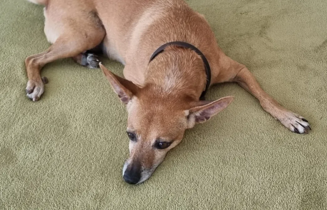 473542907_2937034999798486_6632971651074528939_n