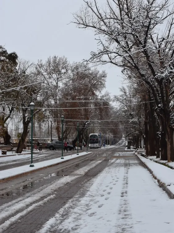 Barreal Nevado 23-7 2026 5