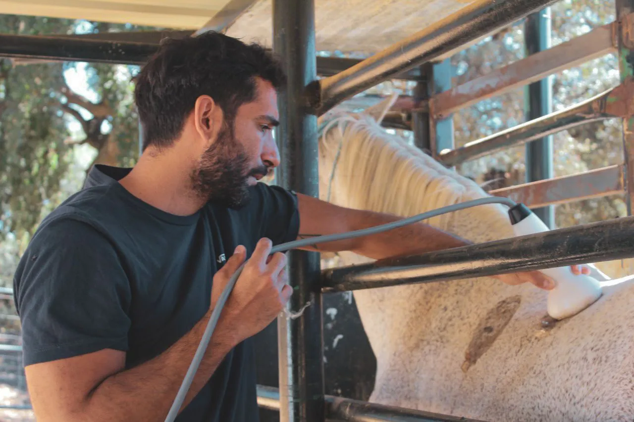 multimedia.normal.854c3d1a70062a44.bm9ybWFsLndlYnA=