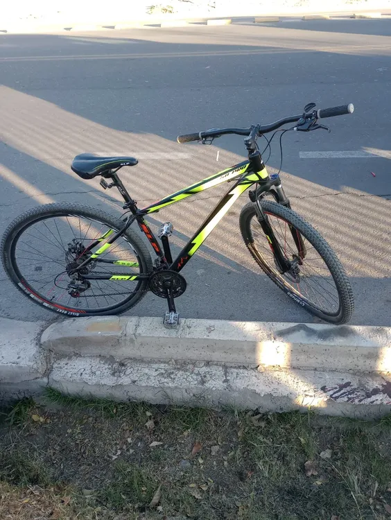 WhatsApp Image 2024-07-25 at 7.13.45 AM