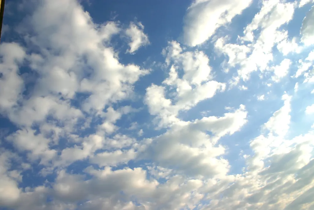 cielo