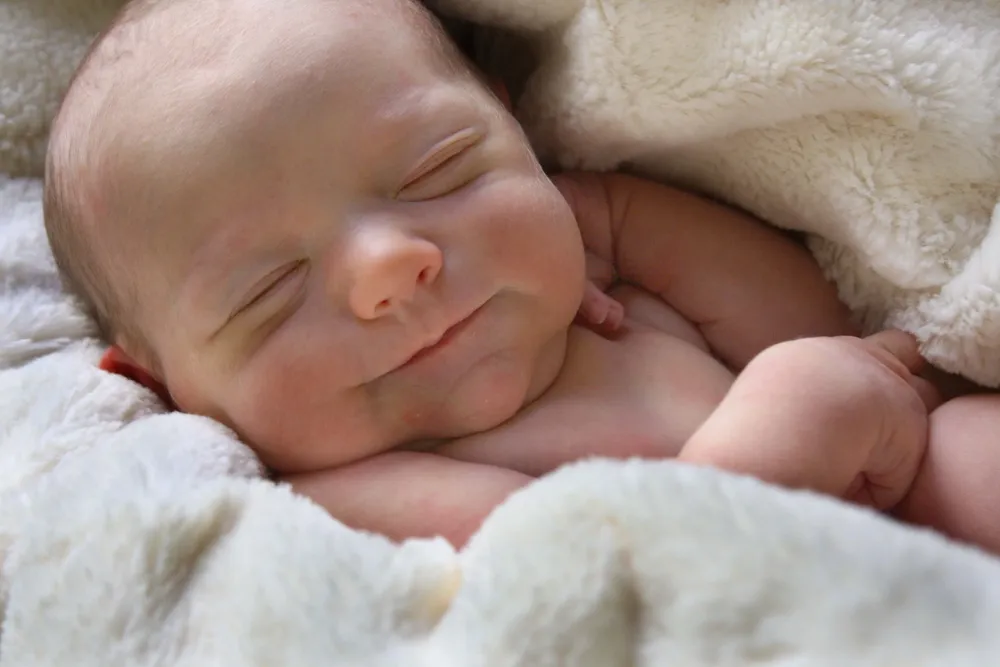 bebe