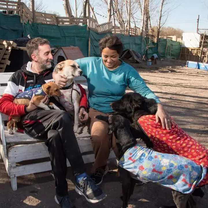 bd3b4adc-f835-4444-b98a-ac4529b15272