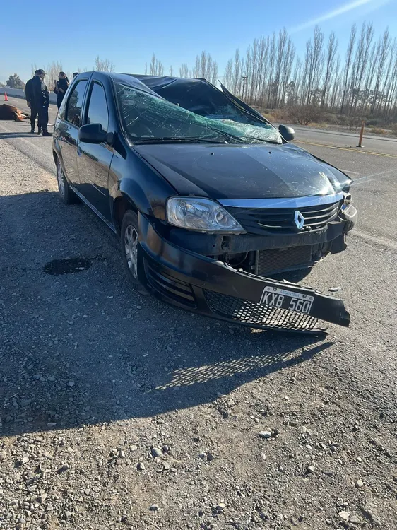 WhatsApp Image 2024-07-22 at 11.42.13 AM