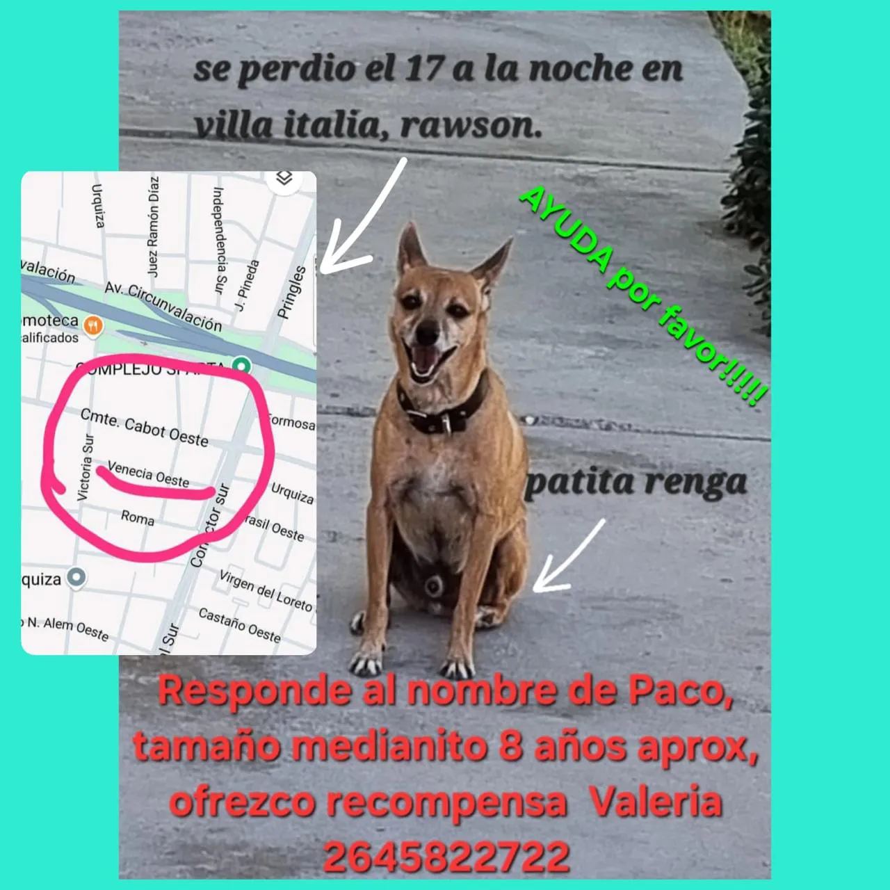 555af6a2-7a5f-4c8c-acd7-2e133e6f53c4